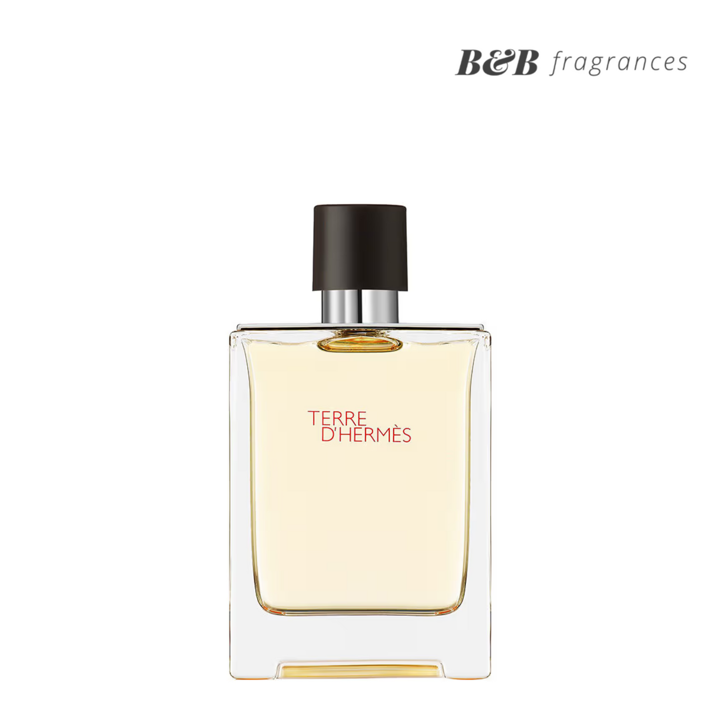 Terre D'Hermes Eau De Toilette
