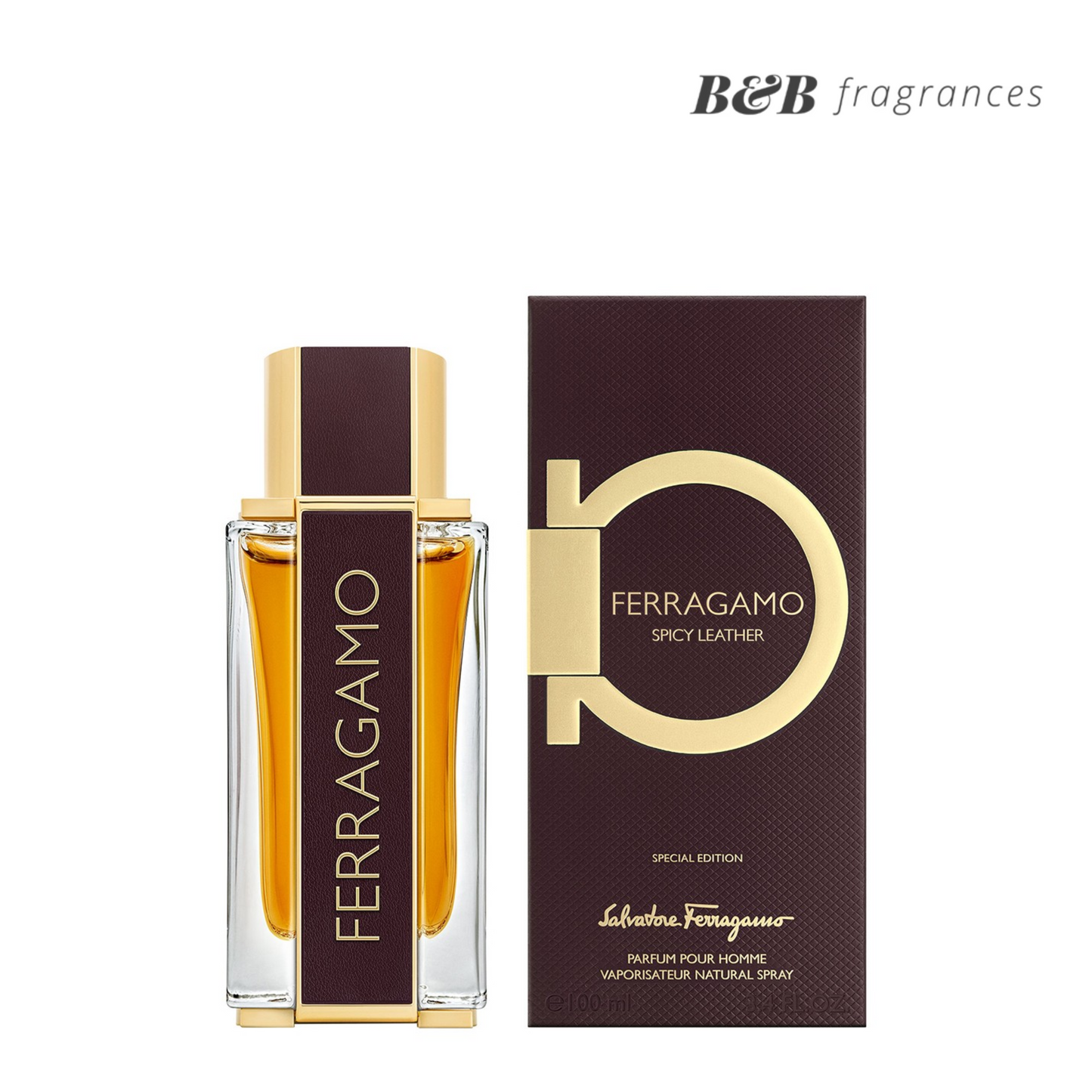 Salvatore Ferragamo Men Spicy Leather