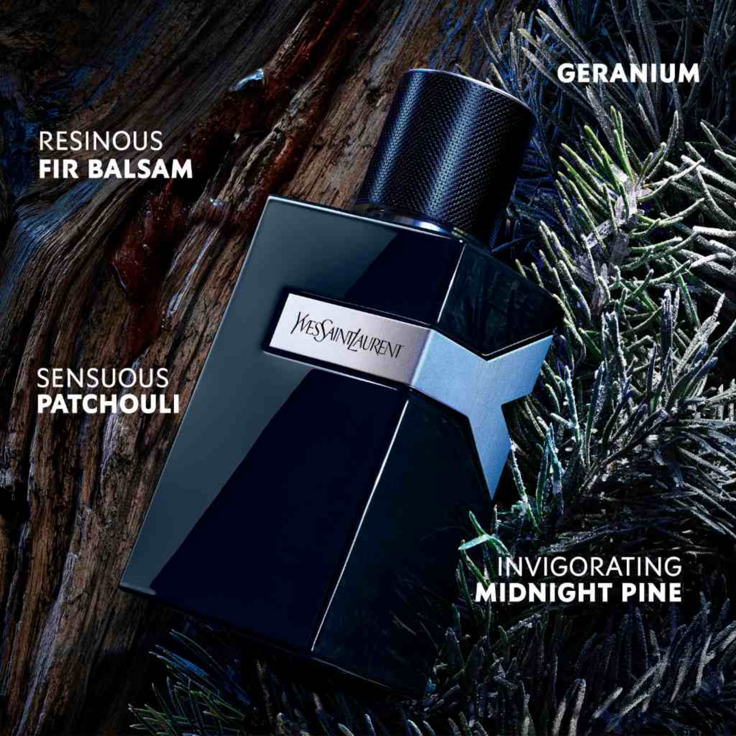 Yves Saint Laurent Y Le Parfum 2025