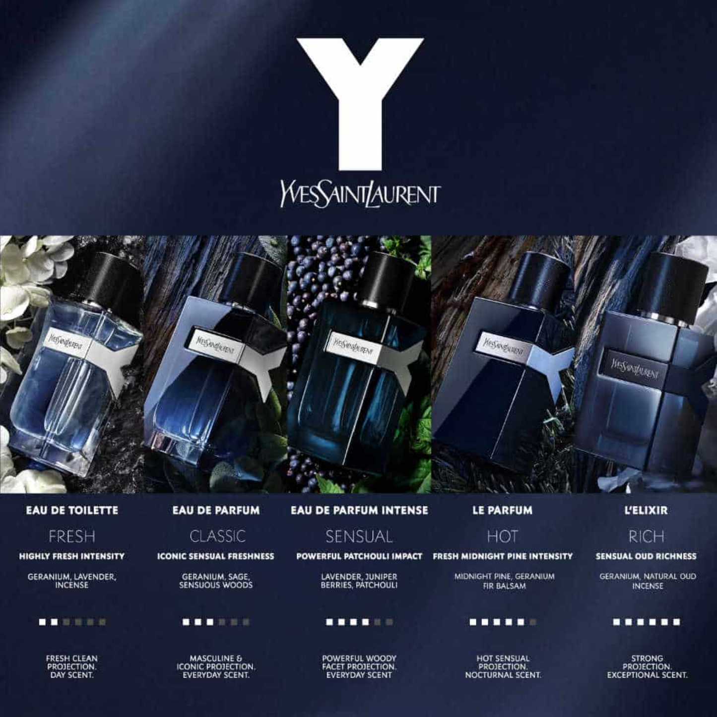 Yves Saint Laurent Y Le Parfum 2025