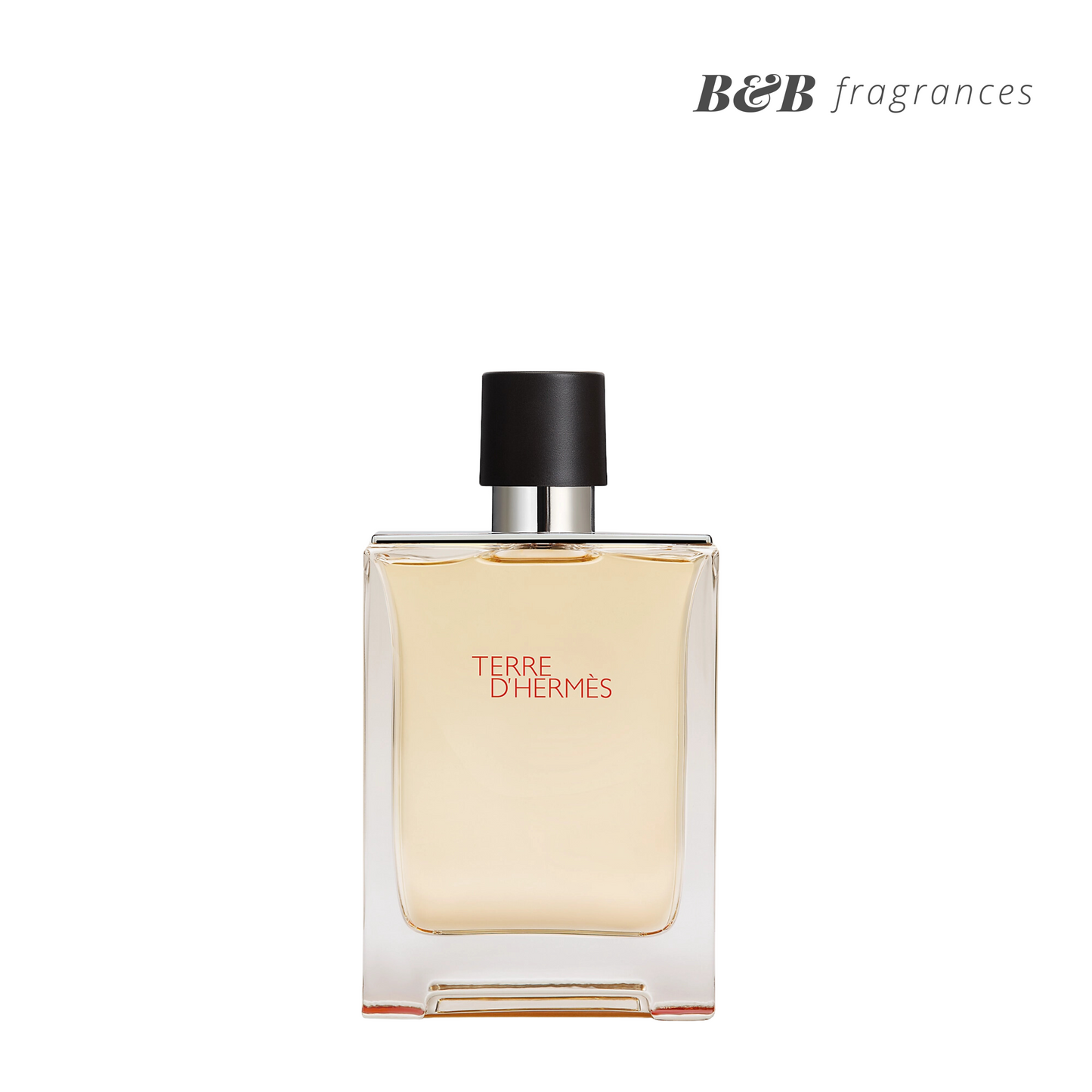 Terre D'Hermes Eau De Toilette